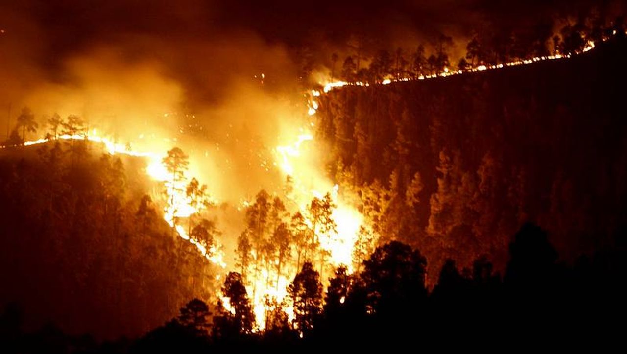 El Fuego En Tenerife Ya Afecta A Unas Dos Mil Hectareas Y Ha Llegado En El Teide