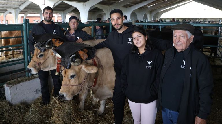 O legado gandeiro dos Clarete medra cada ano dende O Castro de Caldelas