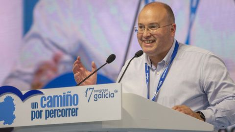 Miguel Tellado, vicesecretario de Organización del PP