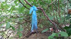 La bolsa con los excrementos estaba colgada de un �rbol