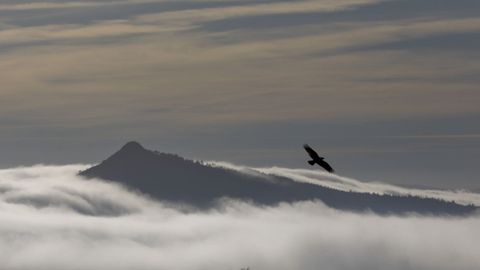 Vistas del Pico Sacro, en Boqueixn, en un da de niebla.