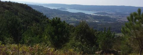 Algunas de las zonas estacionales previstas, como la de Rega Pireira, en terrenos de Tomeza, ofrecen un espectacular mirador sobre a ra de Pontevedra. 