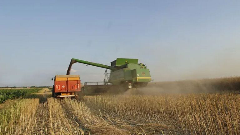 La ola de calor en Francia provoca una mortalidad masiva de aves y amenaza las cosechas