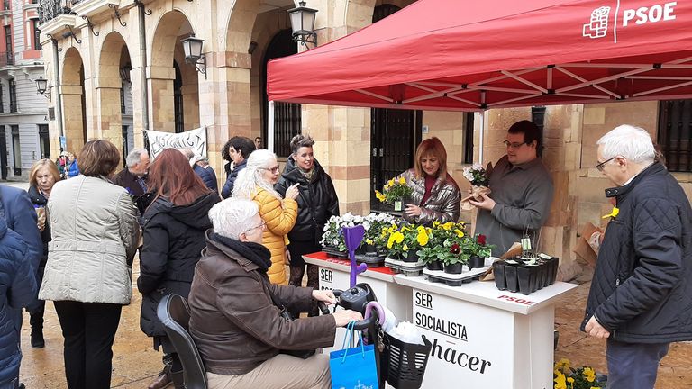 El PSOE reparte plantas en Oviedo para criticar la política ambiental del bipartito