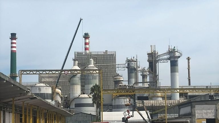 Ence reduce sus pérdidas a la mitad y aspira a capitalizar la subida del precio de la celulosa