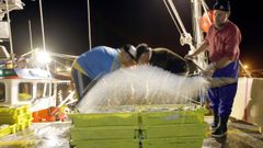 Las organizaciones de productores pesqueros intentan contribuir a mejorar la comercialización de las capturas de la flota, como las de este barco que las descarga en Burela (foto de archivo)