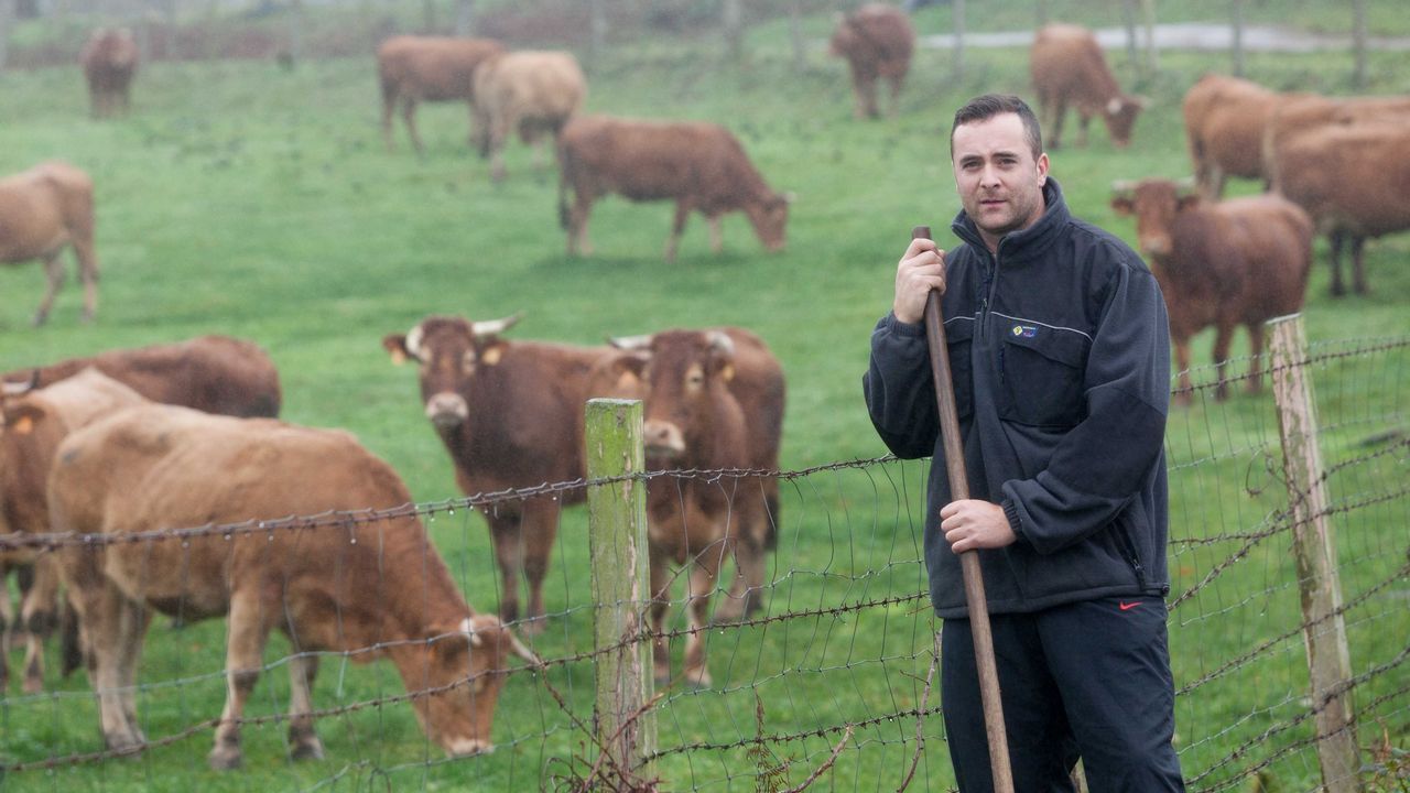 Carreteras con l�mite a 100 por hora