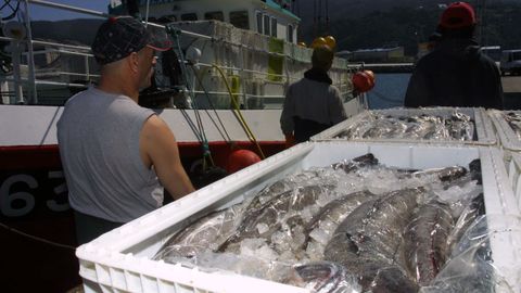 Descarga de merluza del pincho en Celeiro, en una foto de archivo