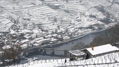 Bancales cubiertos de nieve en las ribeiras de A Ermida -en Chantada, a la derecha- y Belesar, en O Saviao