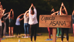 Un festival de bienestar abierto a todos los p�blicos