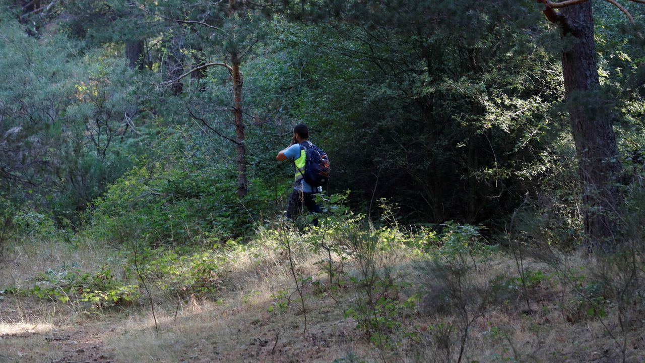 Labores de búsqueda en la sierra madrileña
