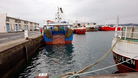 La flota, amarrada en A Coruña