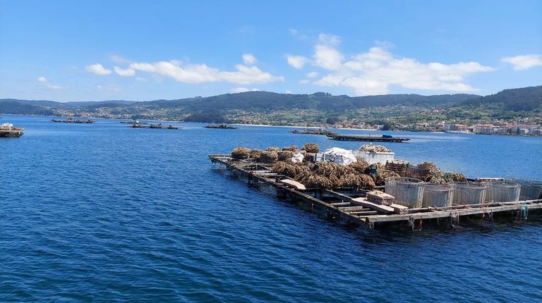 El sector bateeiro en la ría factura una media de 12,1 millones al año