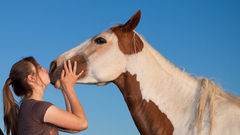 Los caballos son una de las especies m�s populares en las terapias asistidas por animales.