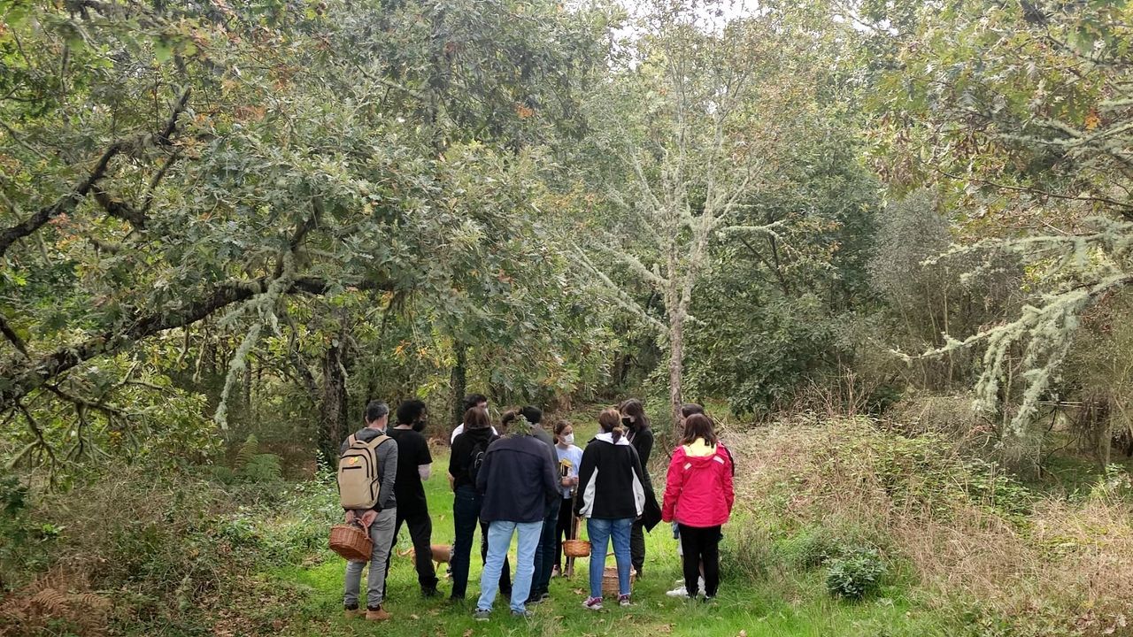 As fue la jornada inaugural de Fairway en Compostela.Participantes en un taller de micologa organizado en Pantn en octubre dentro del programa turstico