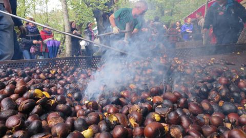 Festa da Castaña do Courel.
