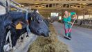 La granja Casa de Polo, de Barreiros, tiene cien vacas en lactación u ordeño