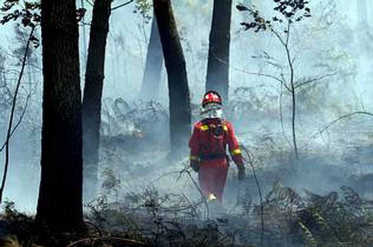Diez cámaras vigilan los montes con más riesgo de fuego en Vigo y su área