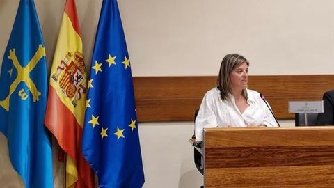 Gimena Llamedo.Gimena Llamedo, durante su comparecencia esta tarde en la Junta General