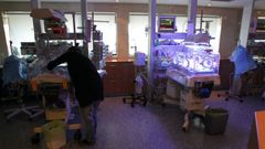 La uci de neonatologa del Hospital Clnico de Santiago, en una foto de archivo
