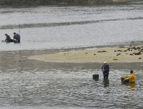 Un grupo de mariscadores faenando el mes pasado en aguas de la ra de O Burgo. 