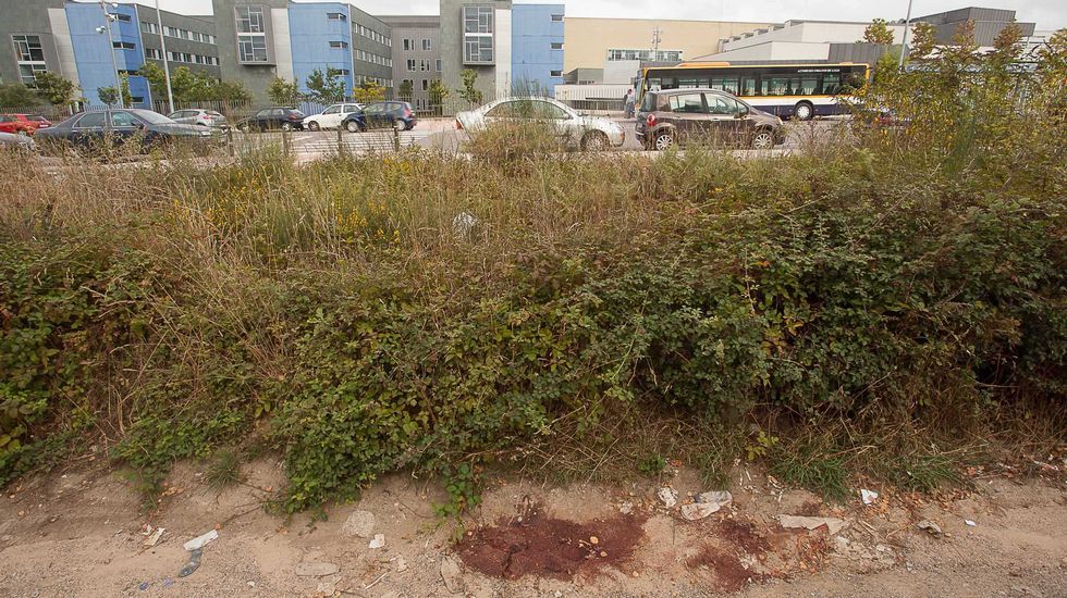 La plantilla del Chantada Atl�tico celebr� por las calles de la capital del Asma su ascenso de categor�a