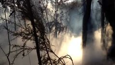 Incendio en A Carballa