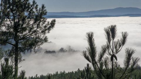 El valle de Lemos cubierto de niebla, visto desde el Alto do Coto, a unos 600 metros sobre el nivel del mar
