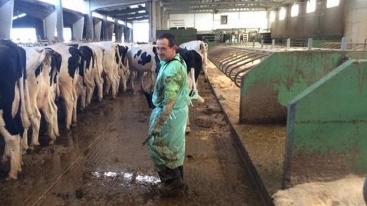 Parques infantiles que no son de cat�logo.El veterinario y director t�cnico de Gando Nuevas Tecnolog�as, Guillermo Lorenzo, en una explotaci�n ganadera