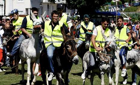 Escair�n celebrar� el martes la Carreira de Burros.