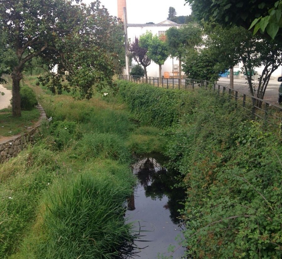 Triacastela, dividida por los toros.Las obras de la piscina est�n acabadas y solo falta la caldera para poder climatizarla. 