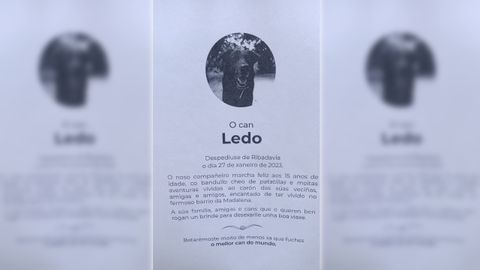 Esquela del perro Ledo, fallecido en Ribadavia