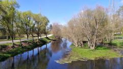 Río Limia a su paso por Xinzo