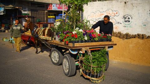 Palestinos venden flores en un carro tirado por un burro en un mercado callejero de la ciudad de Gaza