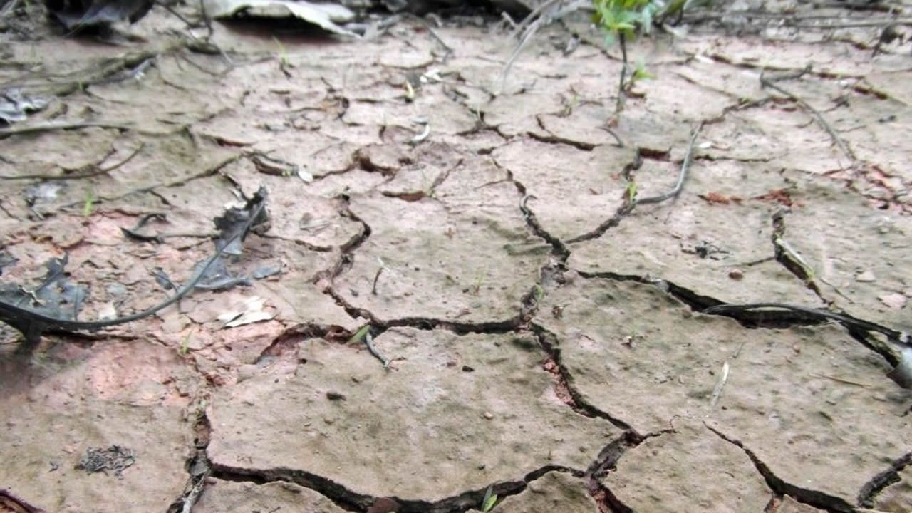 Una granja de O Pramo transforma el purn en camas para las vacas.El ro Tmega, antes y despus del paso del cicln Ana