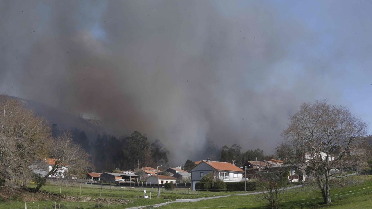 El Primer Incendio De La Temporada En Galicia Afectó A Más De 40 ...