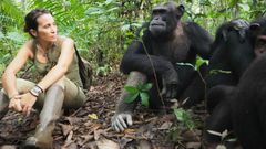 Atencia junto a tres chimpancés en el centro de rescate de Tchimpounga (Congo). Allí se intenta reintroducir a los animales en la selva, tras sufrir experiencias traumáticas, dado que es una especie amenazada en África por los cazadores y el tráfico ilegal