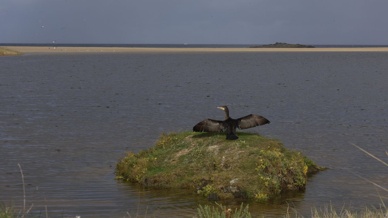 La conselleira de Medio Ambiente y el alcalde de Carnota (en el centro) presidieron el izado de la bandera verde