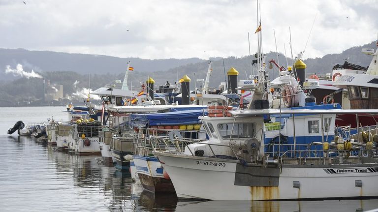 El fin de seis meses de marea roja reabre todas las bateas en medio de los temporales