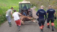 Rescate de una vaca en Fontaciera, en Gijn