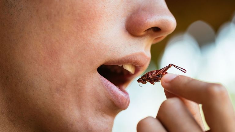 ¿Por qué a los europeos les cuesta más comer insectos? La respuesta está en la genética de nuestros antepasados