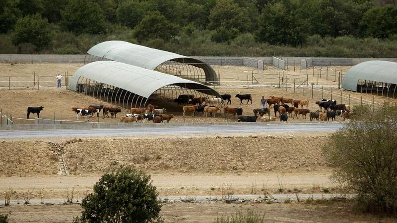 Los deportistas del Chamouco sumaron los tres puntos.