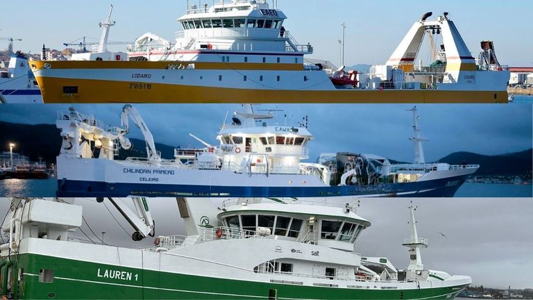 Tres buques se llevan 30.000 de las 35.000 toneladas de lirio en aguas internacionales