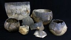 Cer�mica procedente del yacimiento arqueol�gico de Verson (Francia)