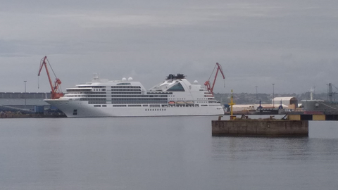 Crucero atracado en el puerto de El Musel, en Gijn