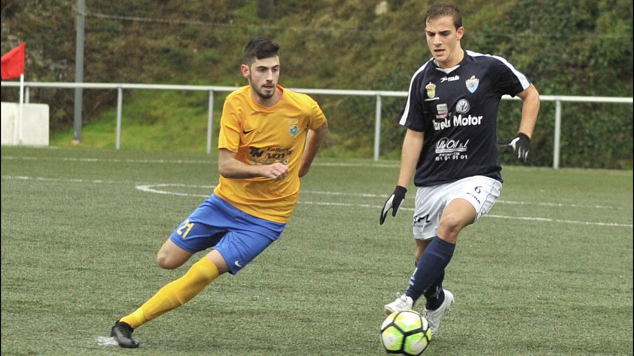 Una granja de O P�ramo transforma el pur�n en camas para las vacas