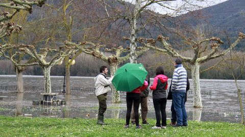 Inundaciones en la provincia de Ourense.La crecida del Sil ha inundado O Aguillón y la chopera de A Rúa de Valdeorras