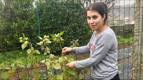 Farolillos chinos para los postres. Maica Mougán con la plantación que la firma Hortamanda tiene en Meis.