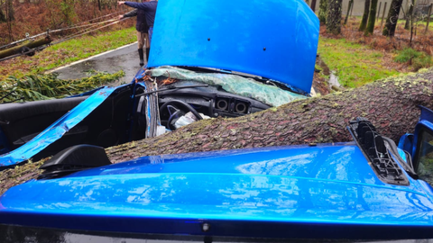 La joven, de 20 a�os, qued� encajada entre el tronco y el volante