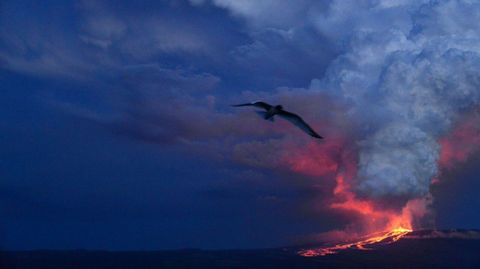 Erupción en el parque nacional de las Galápagos.